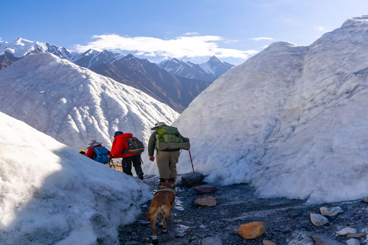 k2-trekker-on-trail k2-trekker-on-trail